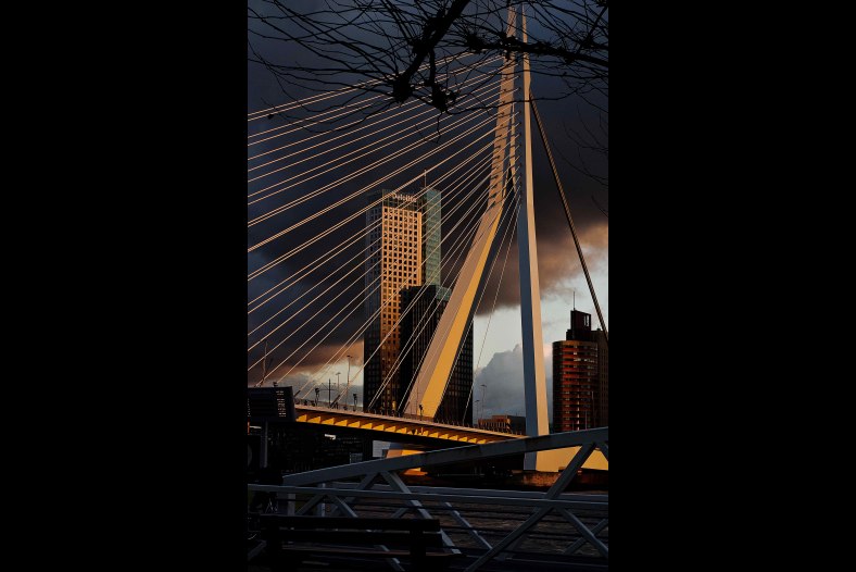 Evening light Rotterdam 